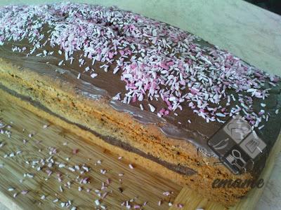 Babka kwitnący tulipan Babka kwitnący tulipan