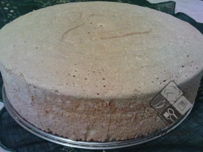 Biszkopt uniwersalny Biszkopt uniwersalny